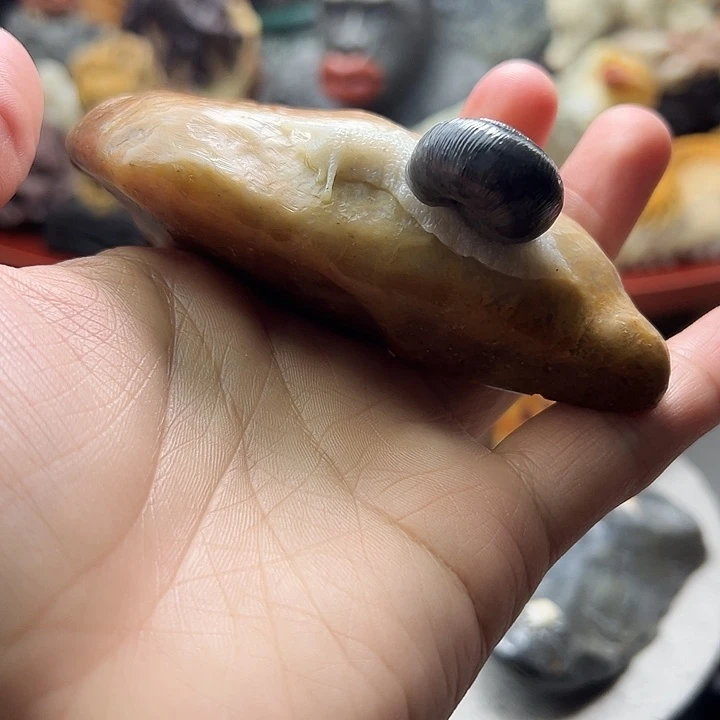 寿山石寿山石摆件