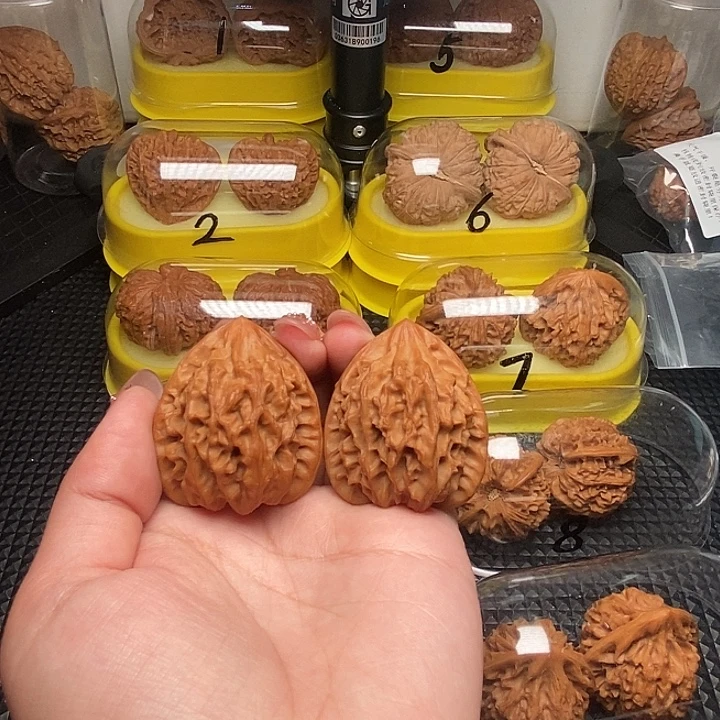 海***川39高尖  龙门