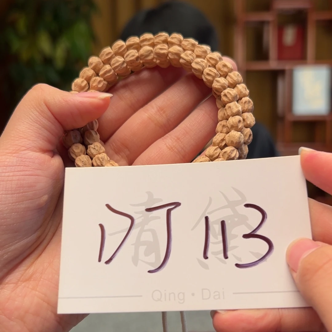 风***歌手串柏香籽/百香籽DJ113