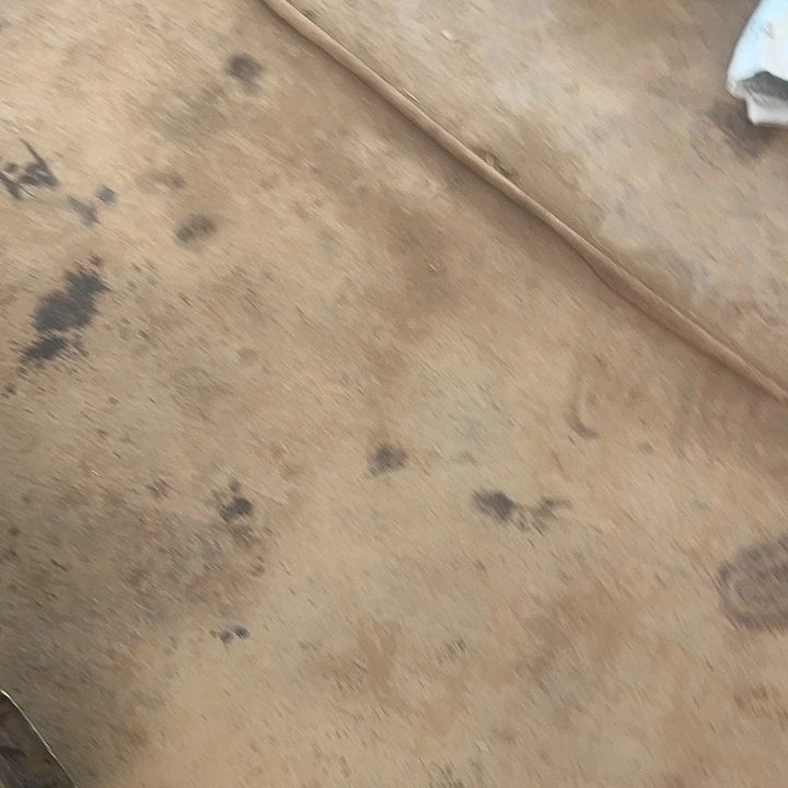 无花朵灌肤叶片3片（500g）送刮梳