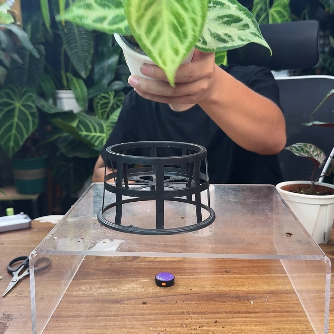 你***了无花朵一物一拍B593 skg银杂银刷子