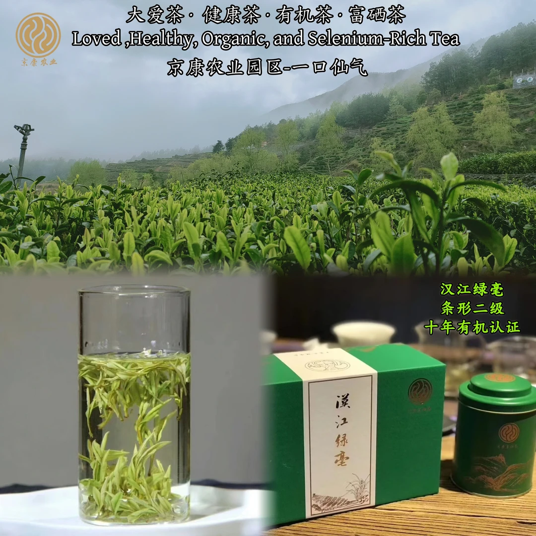 【陕西安康京康农业有机绿茶】2025年新茶清明节前后礼盒商务