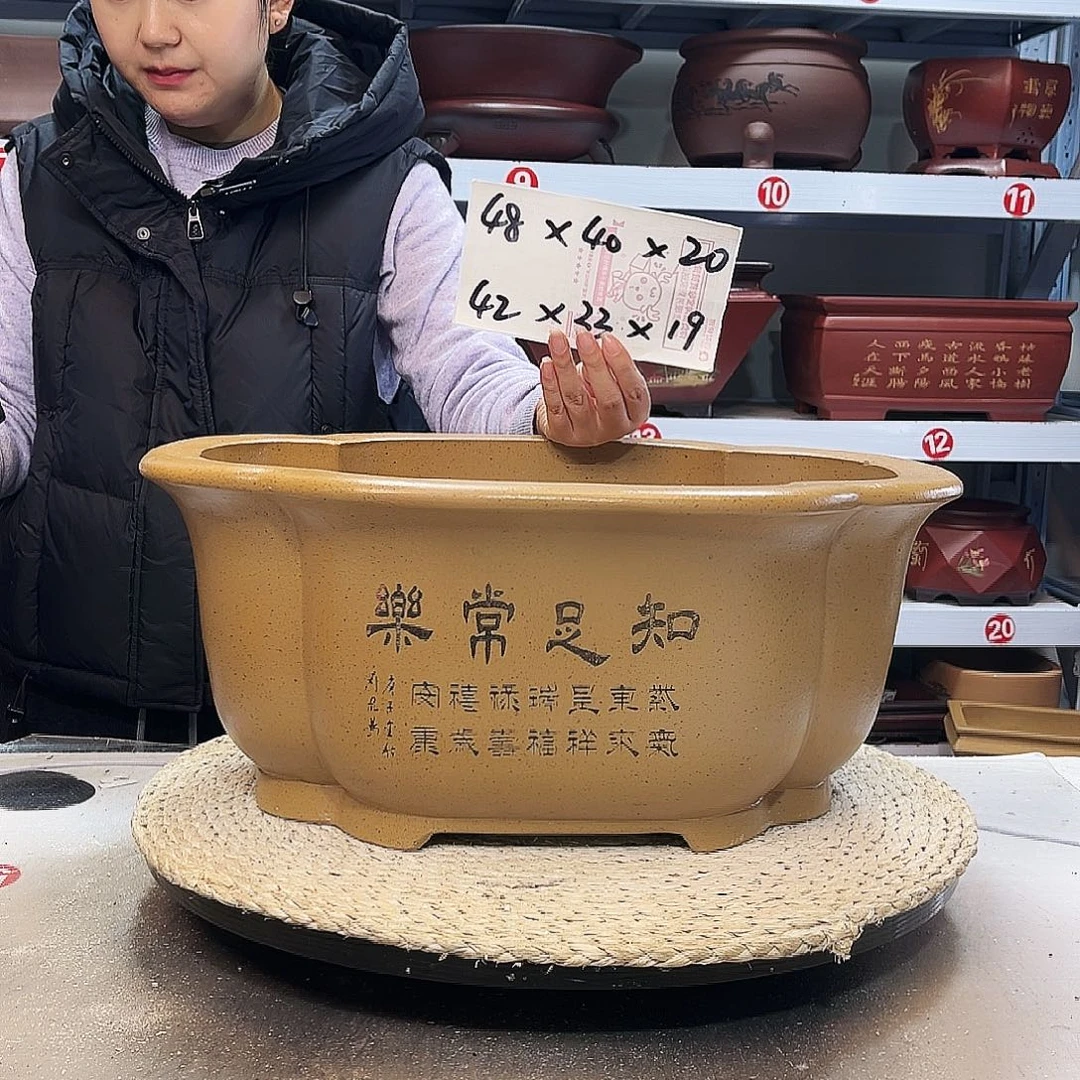 紫砂花盆紫砂花盆