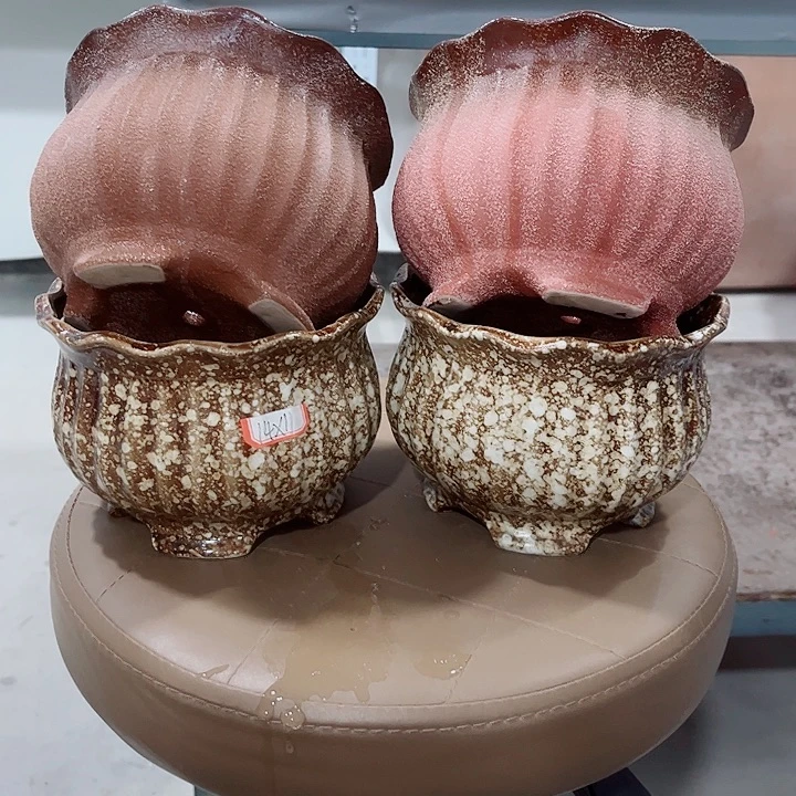 福利花盆厂家直销9.99包邮