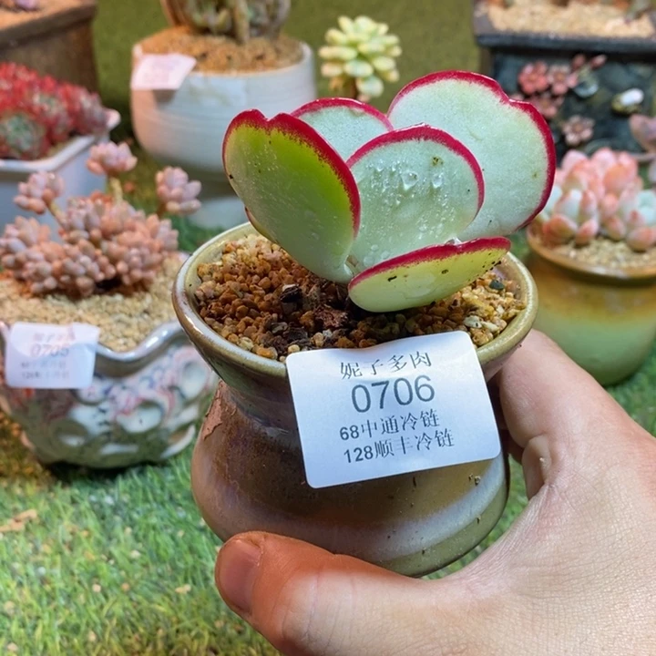 0706啊啊啊啊啊啊啊啊啊啊啊