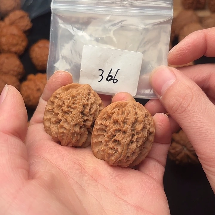 把件文玩核桃37 尺  马老四      366