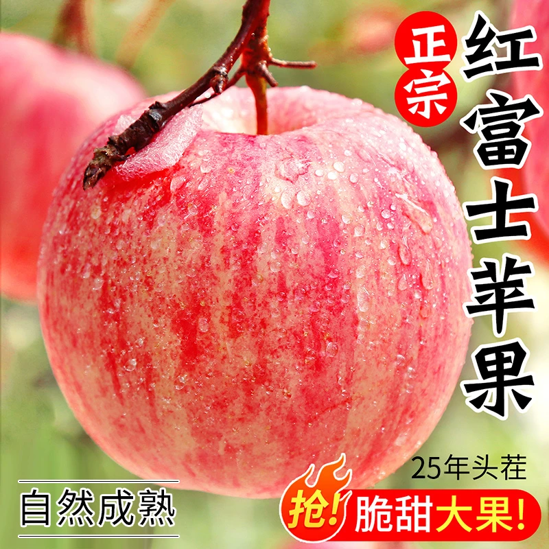 【山东红富士】苹果5斤新鲜水果整箱发货红富士当季丑甜苹果包邮