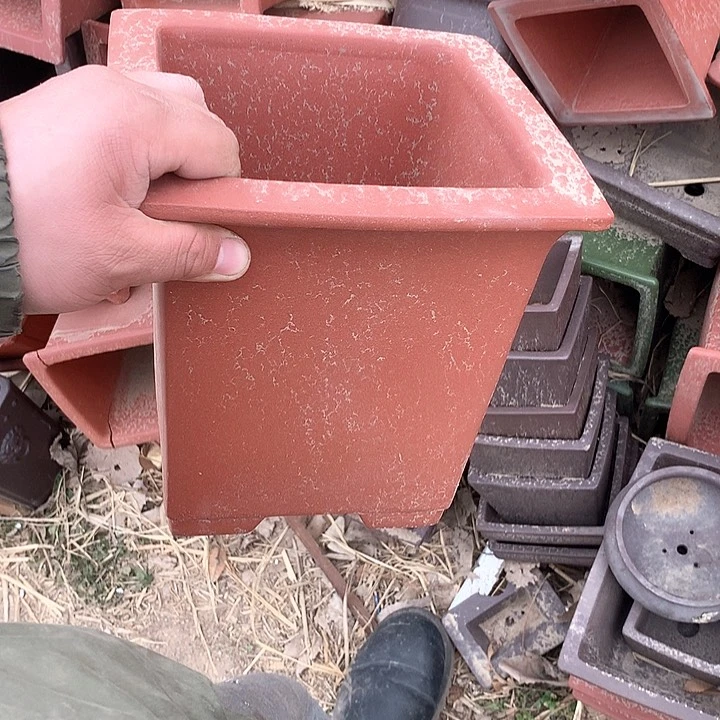 紫砂没有你喜欢吃辣不