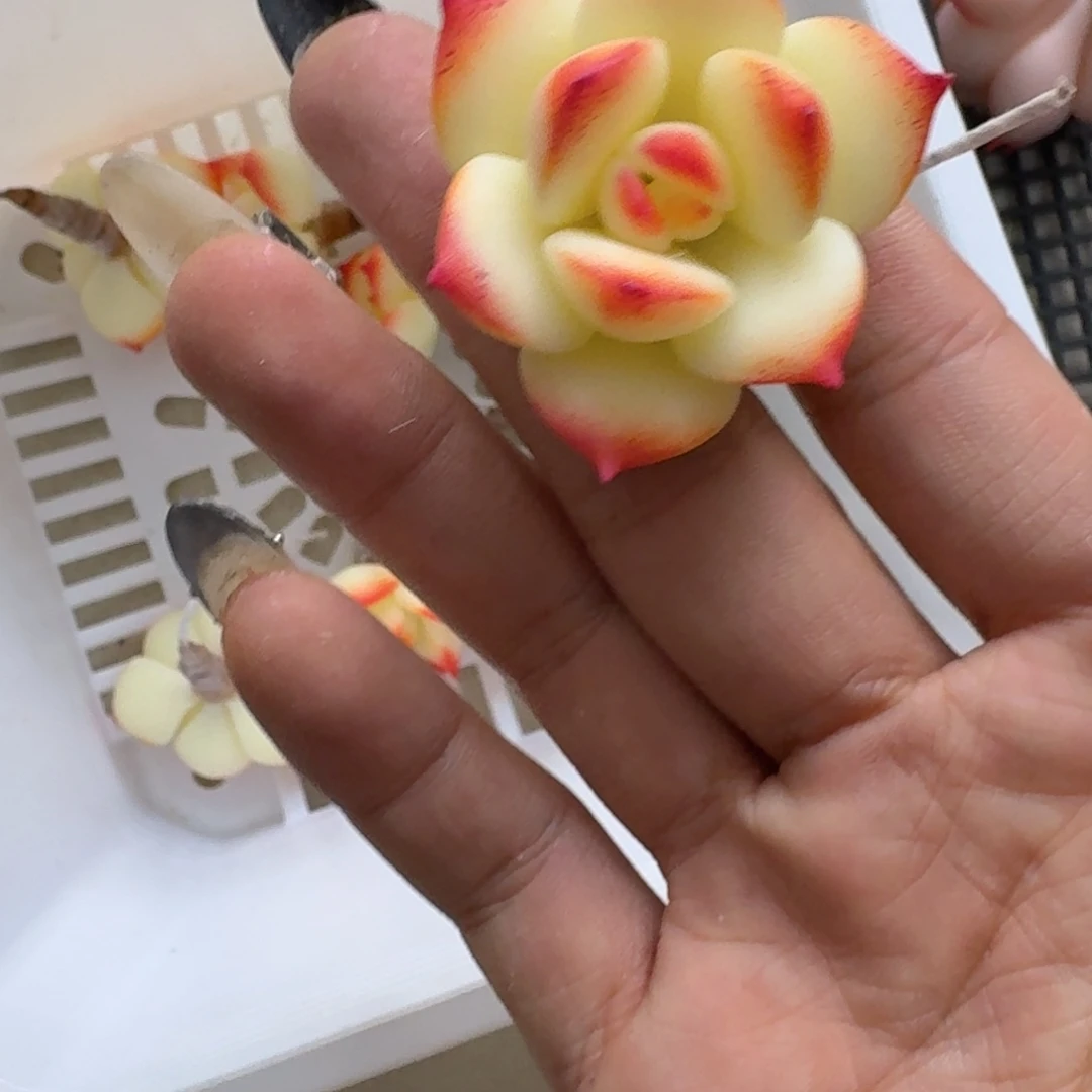 树脂制品13哦哦哦哦哦哦