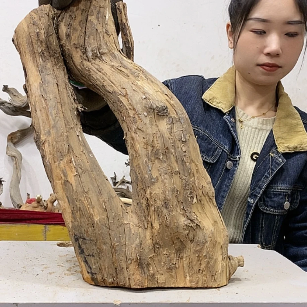 【闪购商品】柏木知*我们都是好孩子