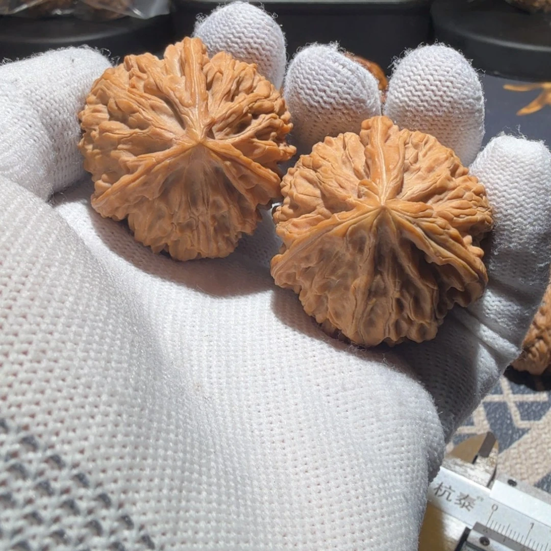 文玩核桃把件御龙正奔