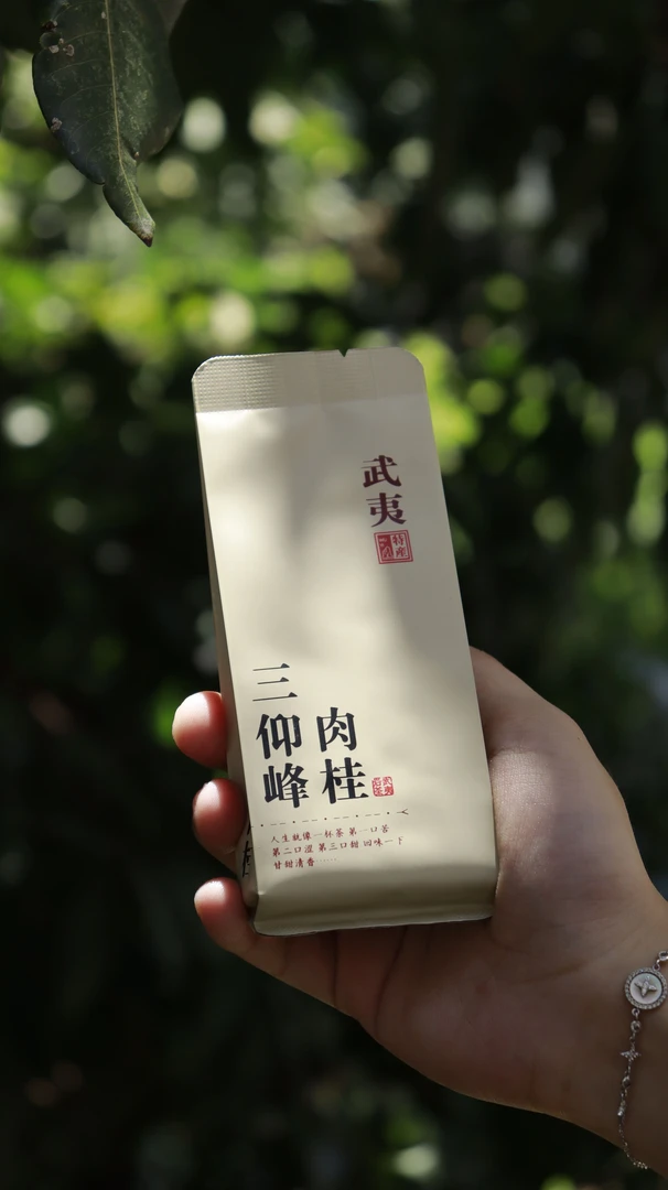 观山茶屿-三仰峰肉桂  8.5g*15+8.5g*1