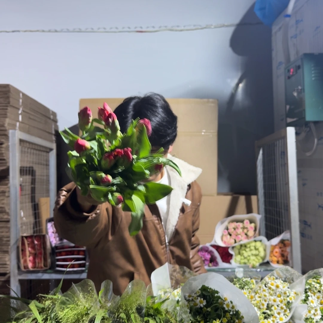 红色郁金香鹦鹉嘴1扎。