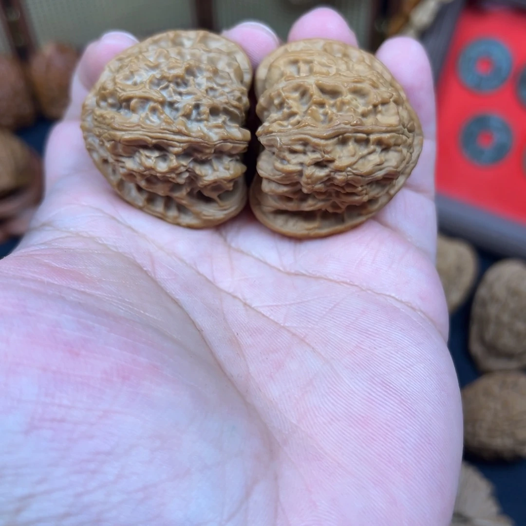 其他核桃42+三角白