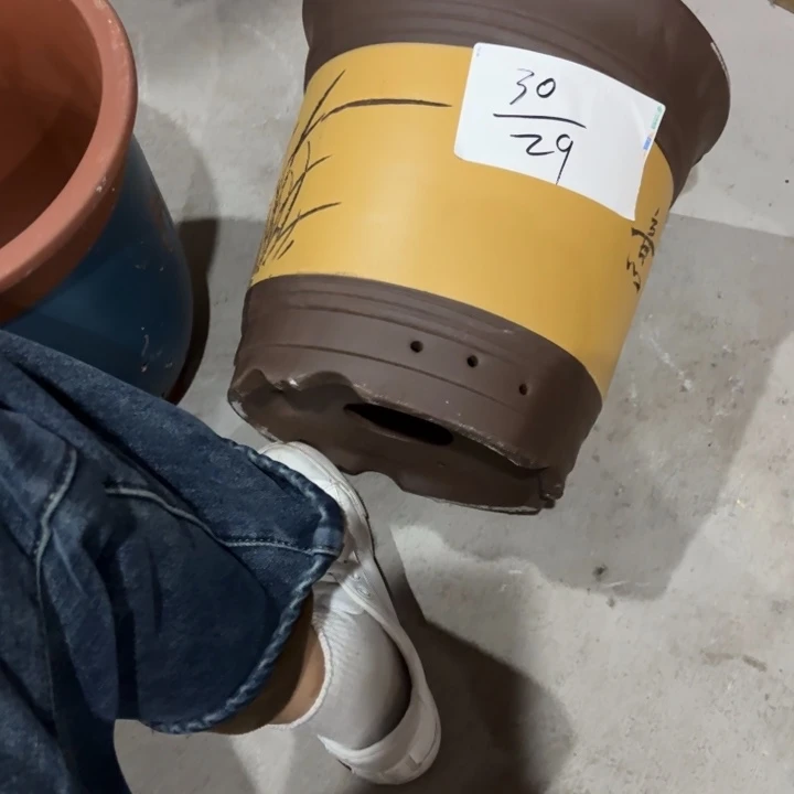 紫砂花盆紫砂的花