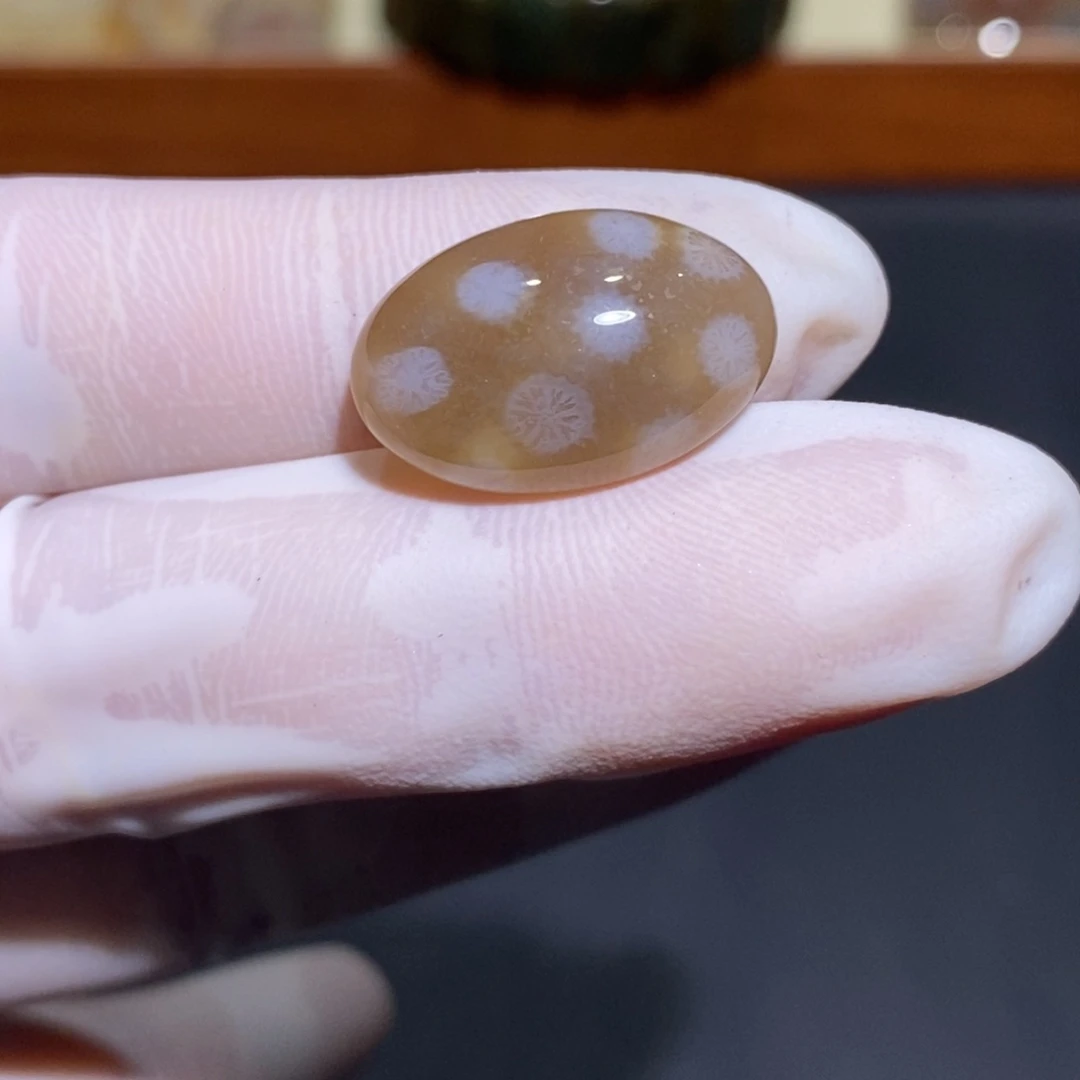 【闪购商品】未镶嵌珊瑚玉硅化玉