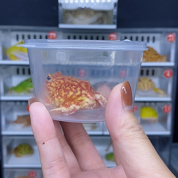 特价秒杀现货特价