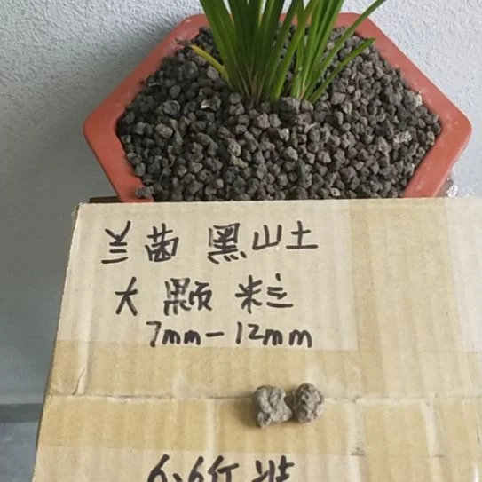 9***粉兰菌黑山土大颗粒6.6斤