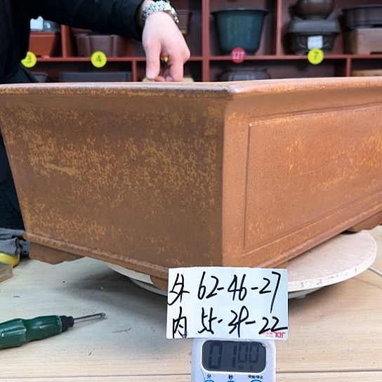 红陶用****8紫砂花盆里放的