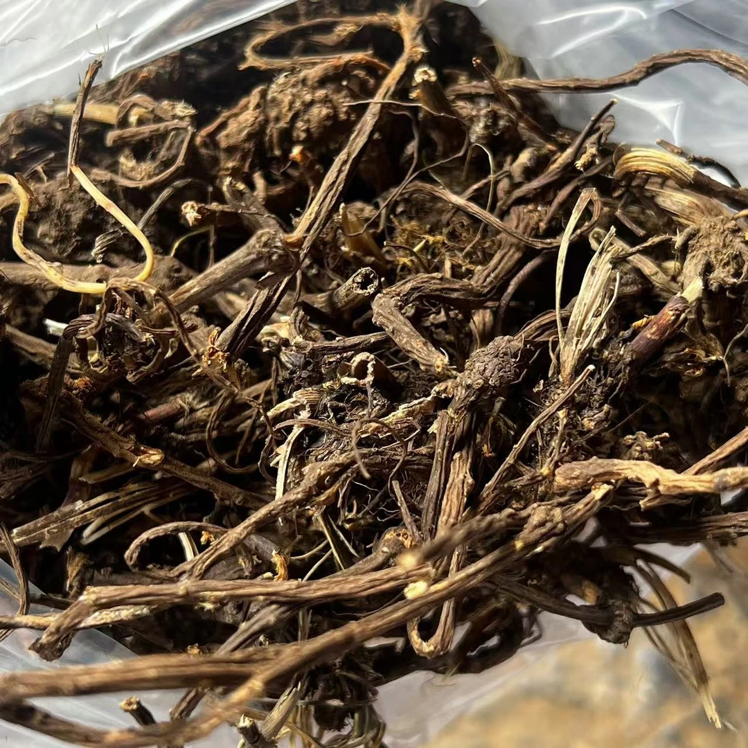 云南深山好物--元气参