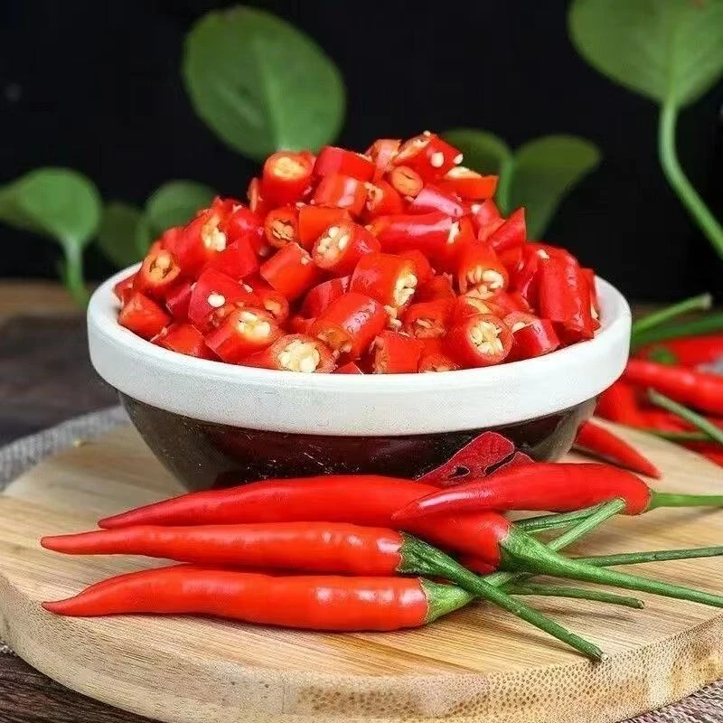 小米辣椒新鲜现摘农家自种小米辣椒指朝天椒蔬菜泡椒超辣