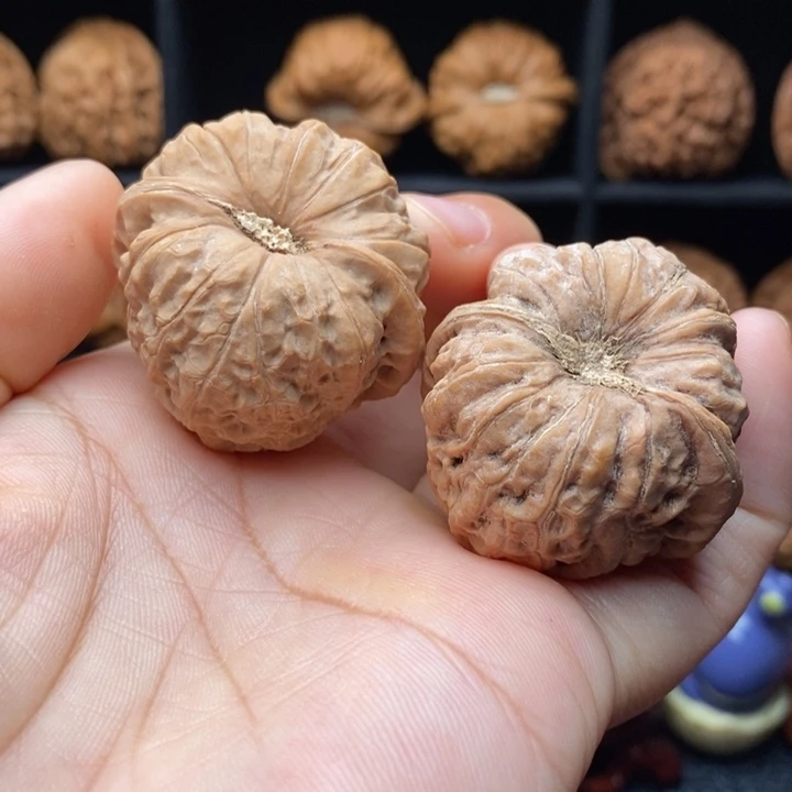 吊坠龙脊菩提39全品有色差福利