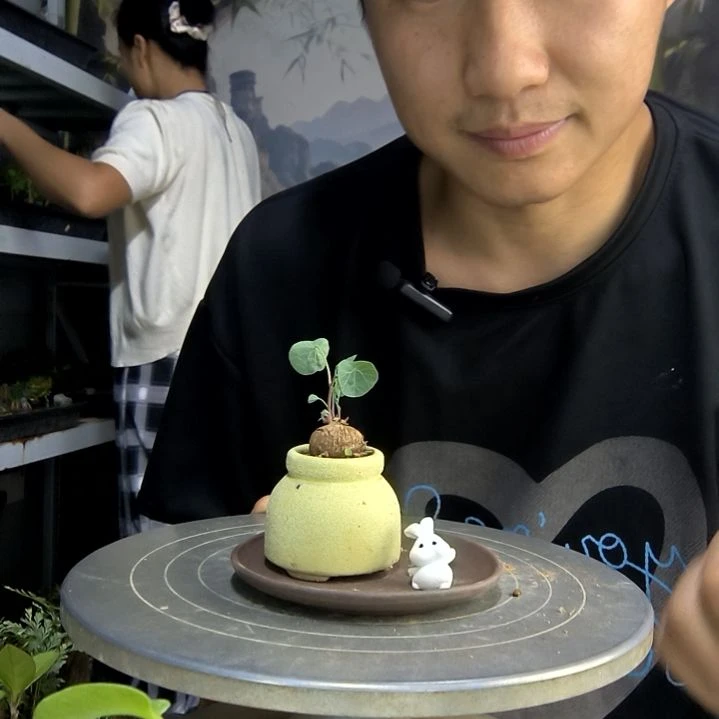 不****?中青园艺一物一拍149