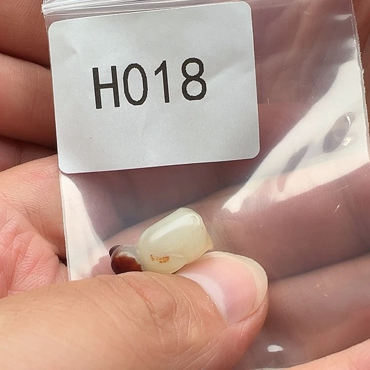 手串菩提根/象牙果