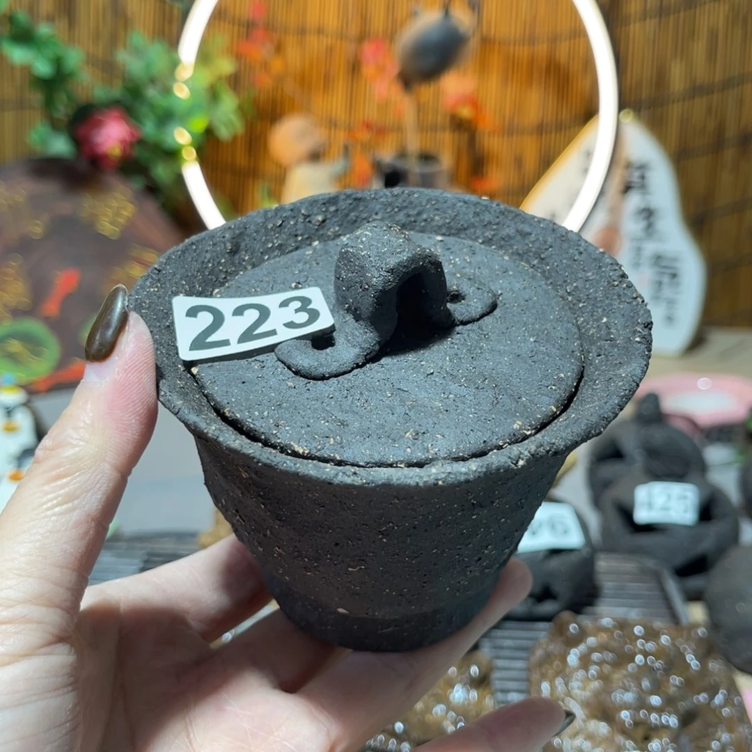 木村信弘柴烧保平