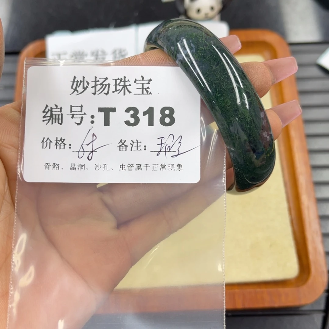 硅化珊瑚（珊瑚玉）瑕未镶嵌宁****7