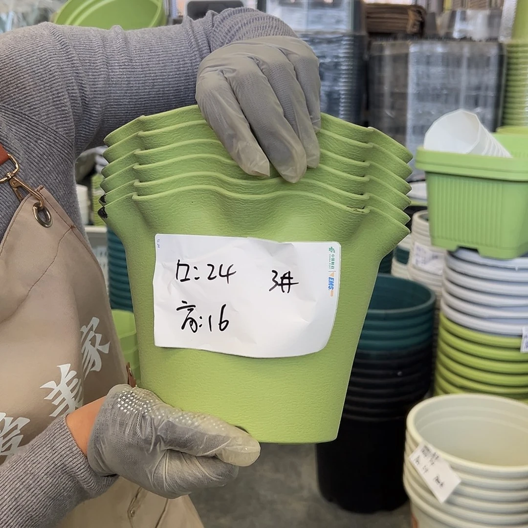 瑕疵荷叶边3#果绿色6个无托