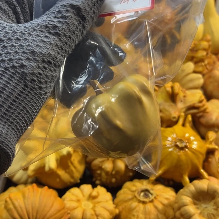 我的墨西哥七彩葫芦