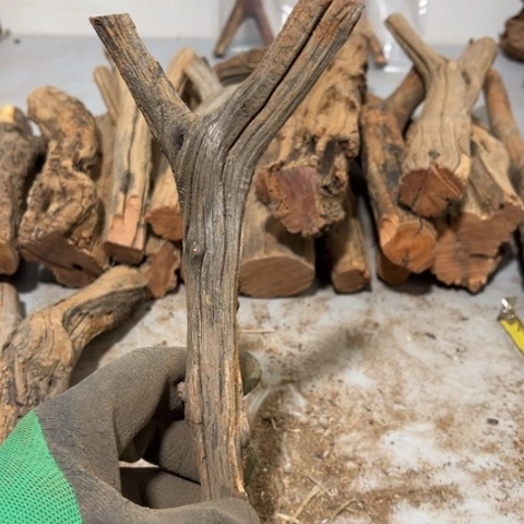 大果紫檀（缅甸花梨）N*