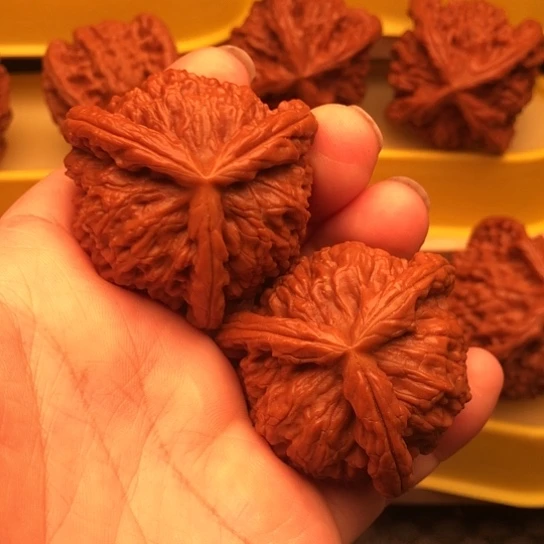 辣****核桃混乱核桃核桃核桃