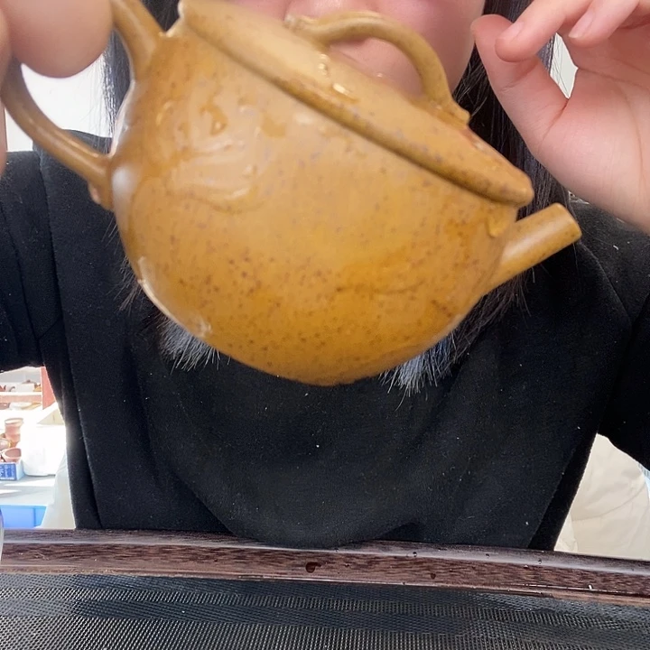 紫砂茶宠柴烧瓦盖