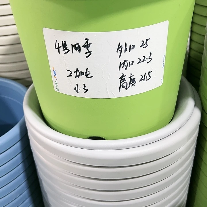 特价4号四季口25高21.5果绿色5个带托