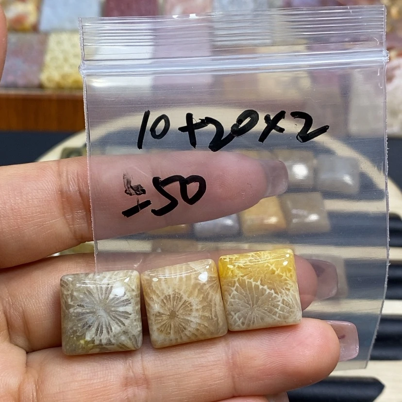 【闪购商品】硅化珊瑚（珊瑚玉）颈饰未镶嵌卿*K50