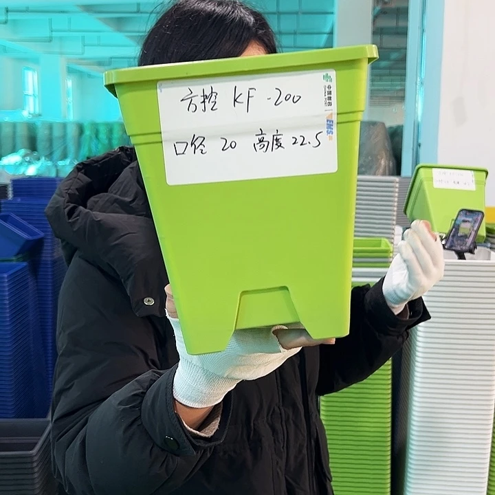 正品方盆口20高22果绿6只无托