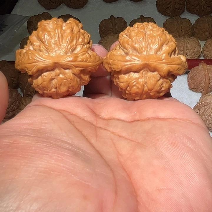 木48全品龙鼎。