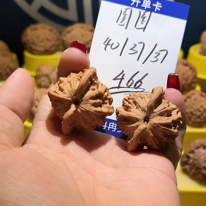 把件桃核图图全品