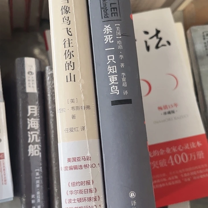 当鸟,知更鸟全新推荐
