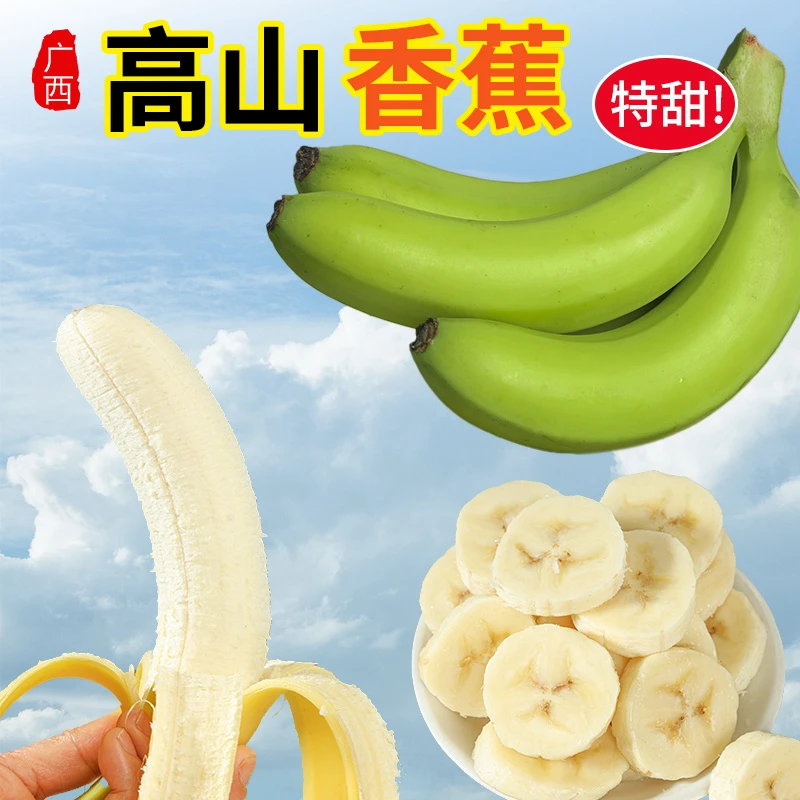 广西高山绿皮甜香蕉产地直发5斤单根网套包装当季时令新水果现摘
