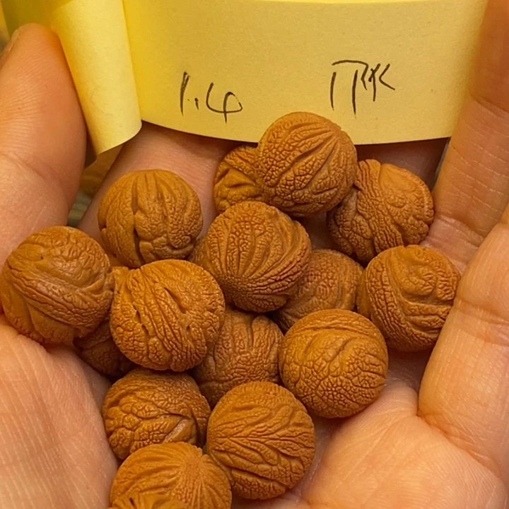 桃核吊坠秦岭龙纹桃核14尺寸