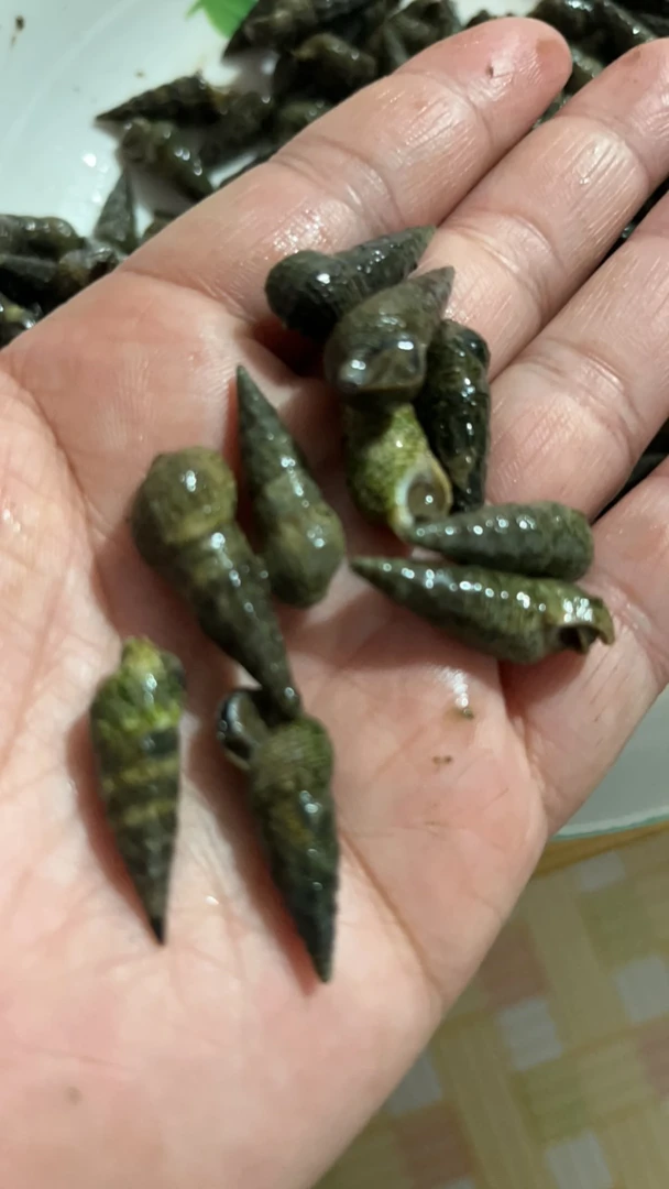 大连本地小花盖螃蟹2斤