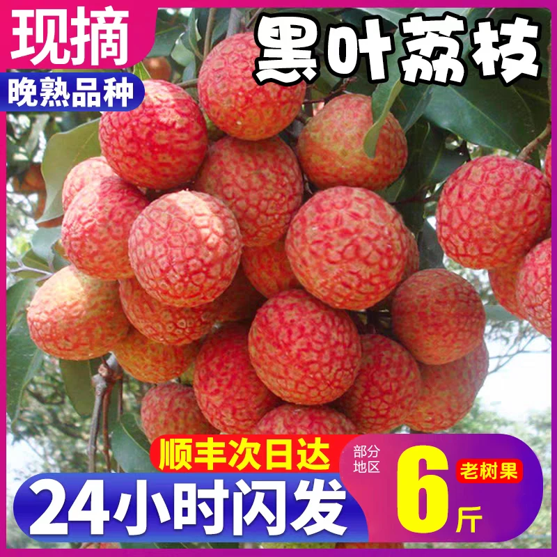 【顺丰冷链】精品黑叶荔枝 当季新鲜水果老树精品果大果