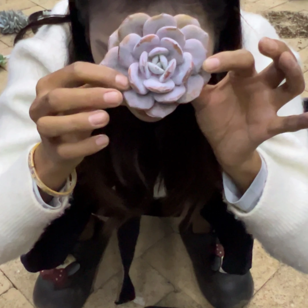 君***～君君5。