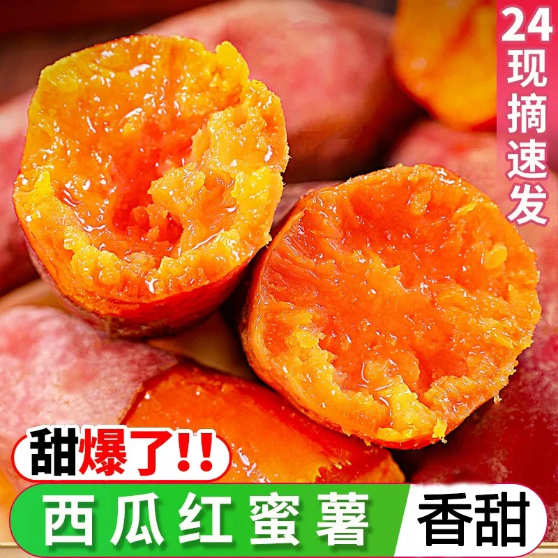 【韦博薯业源头基地】正宗沙地西瓜红蜜薯软糯香甜新鲜现挖红心番薯