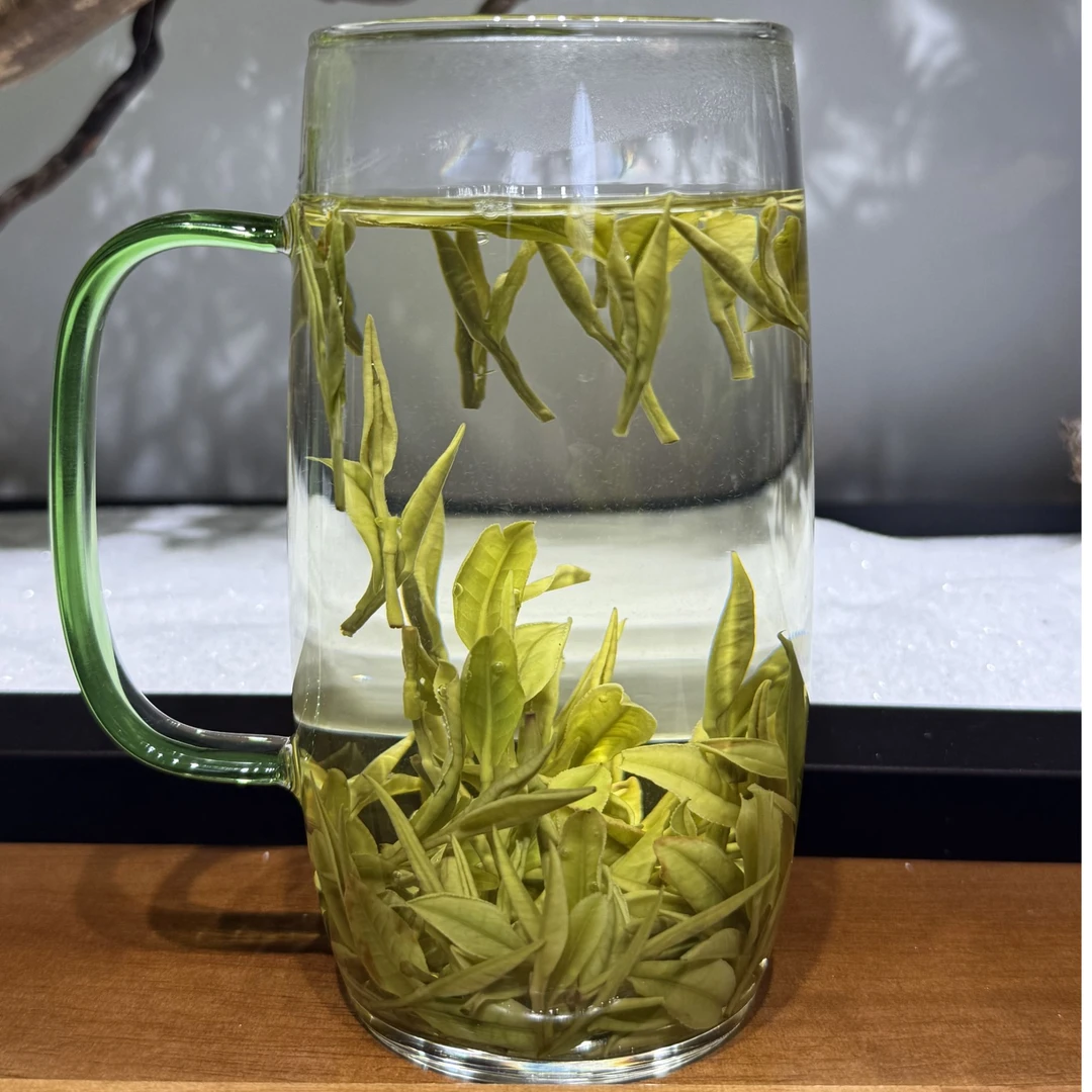 2025年A04安吉白茶 开园第二天 小芽兰花香 安吉本地新茶