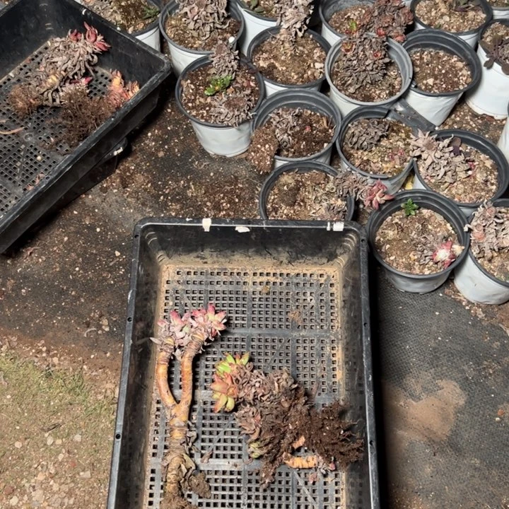 560哈哈哈哈哈哈哈