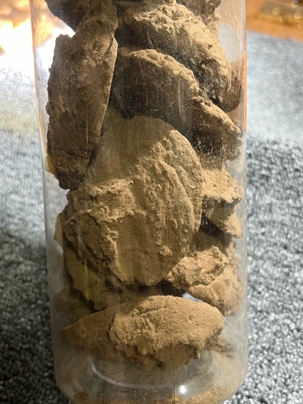 加里曼丹原料薰香香料好味道香薰香料